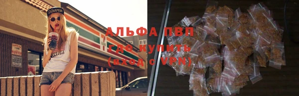 мяу мяу мука Баксан