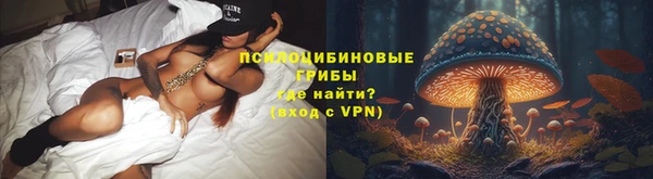 мяу мяу мука Баксан